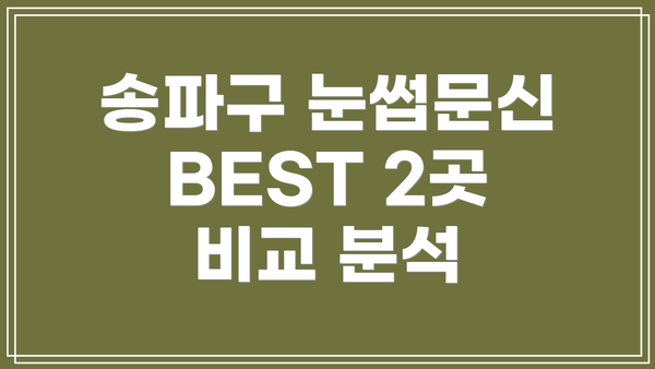 송파구 눈썹문신 BEST 2곳 비교 분석