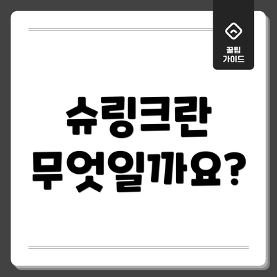 슈링크란 무엇일까요?