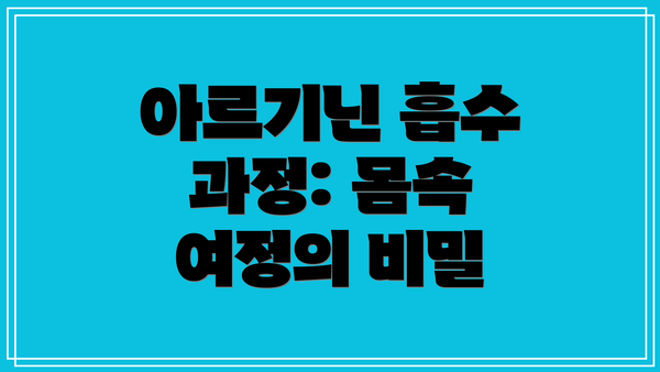 아르기닌 흡수 과정: 몸속 여정의 비밀