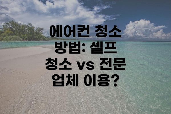 에어컨 청소 방법: 셀프 청소 vs 전문 업체 이용?