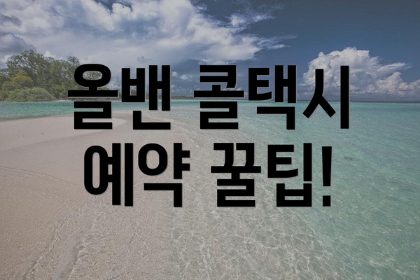 올밴 콜택시 예약 꿀팁!