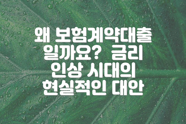 왜 보험계약대출일까요?  금리 인상 시대의 현실적인 대안