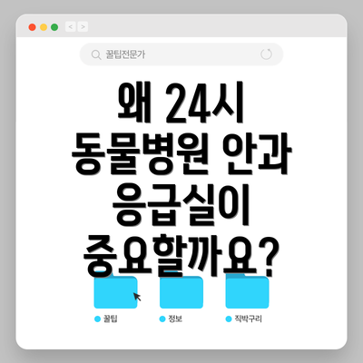 왜 24시 동물병원 안과 응급실이 중요할까요?