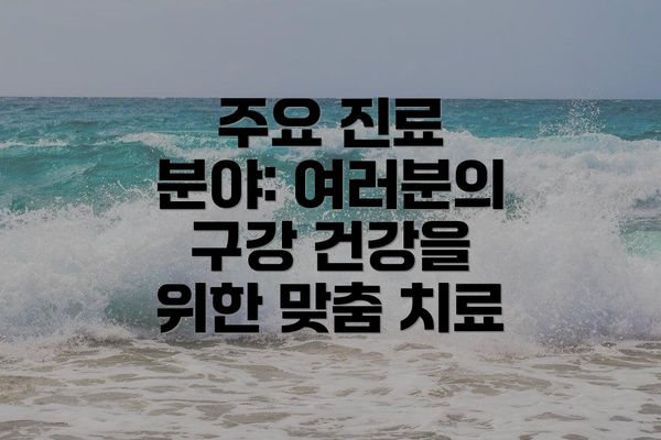 주요 진료 분야: 여러분의 구강 건강을 위한 맞춤 치료