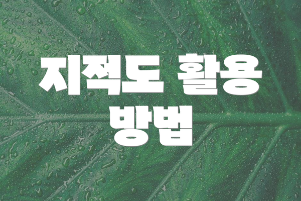 지적도 활용 방법