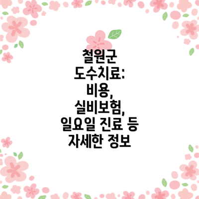 철원군 도수치료: 비용, 실비보험, 일요일 진료 등 자세한 정보