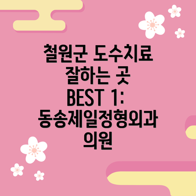 철원군 도수치료 잘하는 곳 BEST 1: 동송제일정형외과의원