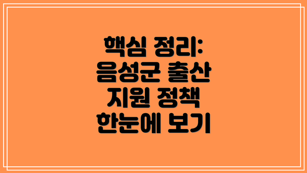 핵심 정리: 음성군 출산 지원 정책 한눈에 보기