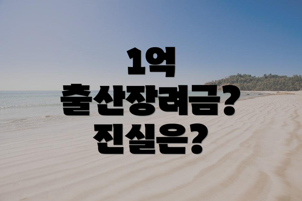 1억 출산장려금? 진실은?