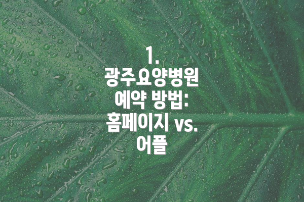 1. 광주요양병원 예약 방법: 홈페이지 vs. 어플
