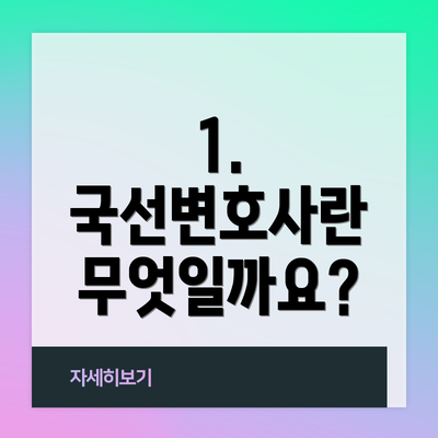 1. 국선변호사란 무엇일까요?