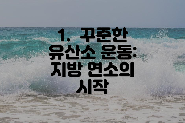 1.  꾸준한 유산소 운동: 지방 연소의 시작