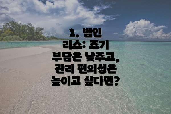 1. 법인 리스: 초기 부담은 낮추고, 관리 편의성은 높이고 싶다면?