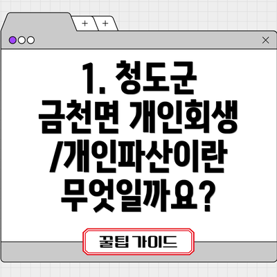 1. 청도군 금천면 개인회생/개인파산이란 무엇일까요?