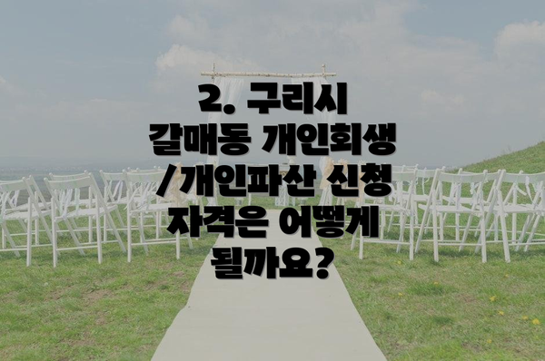 2. 구리시 갈매동 개인회생/개인파산 신청 자격은 어떻게 될까요?