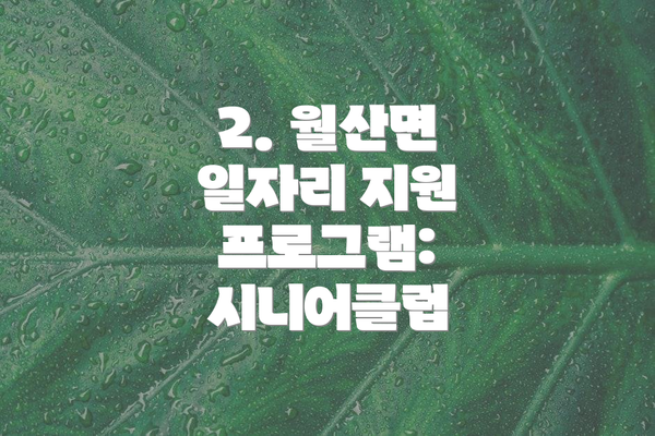 2. 월산면 일자리 지원 프로그램: 시니어클럽
