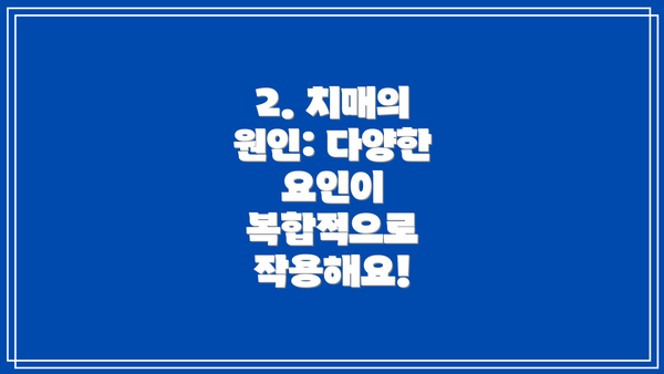 2. 치매의 원인: 다양한 요인이 복합적으로 작용해요!