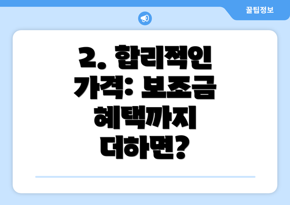 2. 합리적인 가격: 보조금 혜택까지 더하면?
