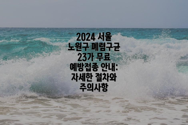2024 서울 노원구 폐렴구균 23가 무료 예방접종 안내: 자세한 절차와 주의사항