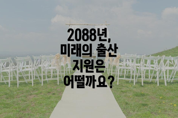 2088년, 미래의 출산 지원은 어떨까요?