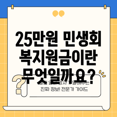 25만원 민생회복지원금이란 무엇일까요?