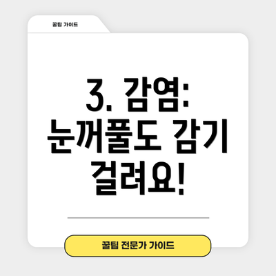 3. 감염: 눈꺼풀도 감기 걸려요!