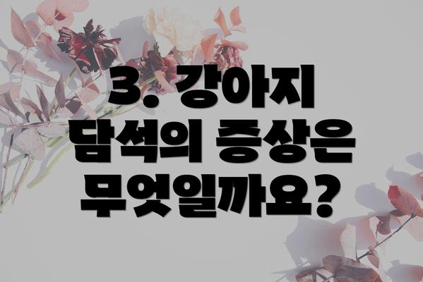 3. 강아지 담석의 증상은 무엇일까요?