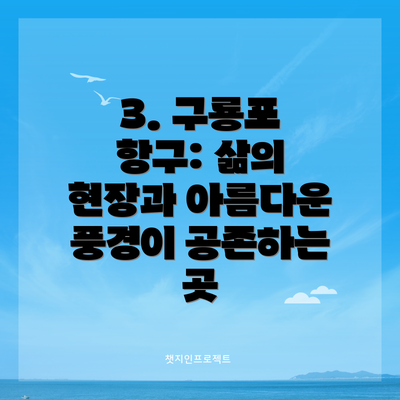 3. 구룡포 항구: 삶의 현장과 아름다운 풍경이 공존하는 곳