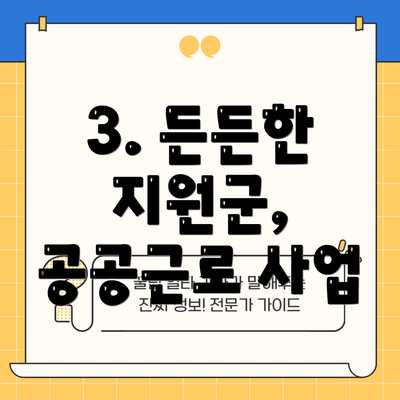 3. 든든한 지원군, 공공근로 사업
