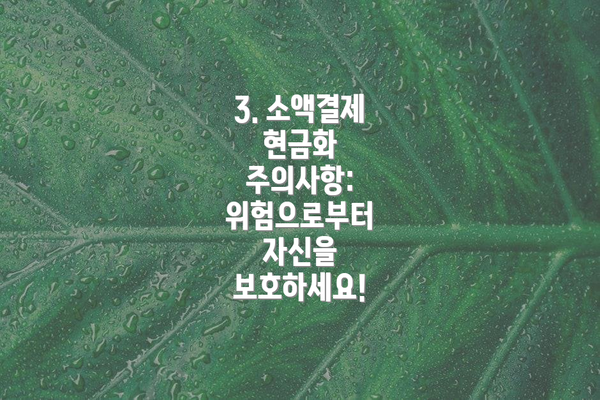 3. 소액결제 현금화 주의사항: 위험으로부터 자신을 보호하세요!