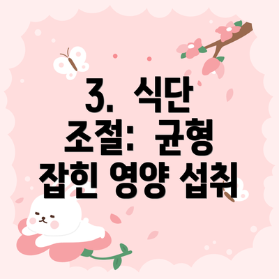 3.  식단 조절:  균형 잡힌 영양 섭취