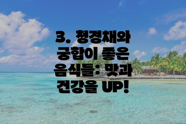 3. 청경채와 궁합이 좋은 음식들: 맛과 건강을 UP!