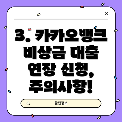 3. 카카오뱅크 비상금 대출 연장 신청, 주의사항!
