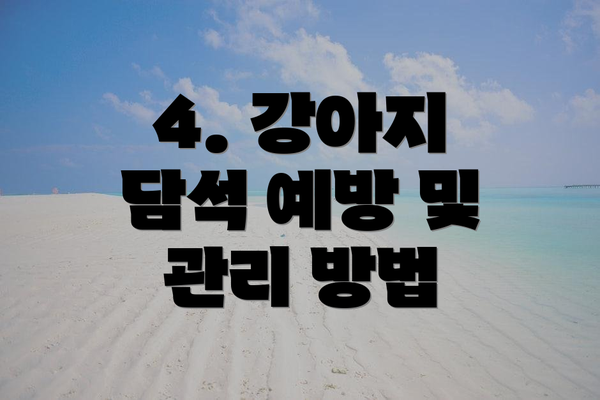 4. 강아지 담석 예방 및 관리 방법