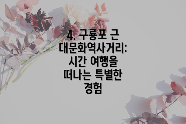 4. 구룡포 근대문화역사거리: 시간 여행을 떠나는 특별한 경험