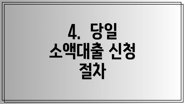 4.  당일 소액대출 신청 절차