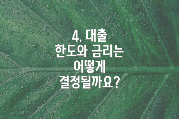 4. 대출 한도와 금리는 어떻게 결정될까요?