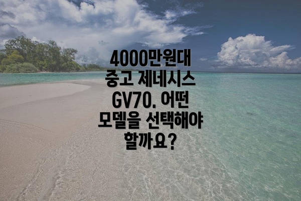 4000만원대 중고 제네시스 GV70. 어떤 모델을 선택해야 할까요?