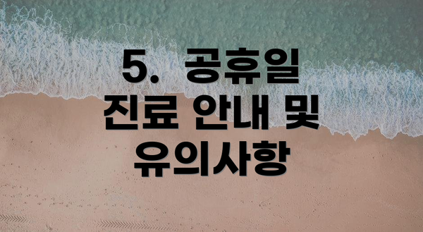 5.  공휴일 진료 안내 및 유의사항