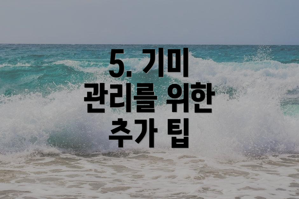 5. 기미 관리를 위한 추가 팁