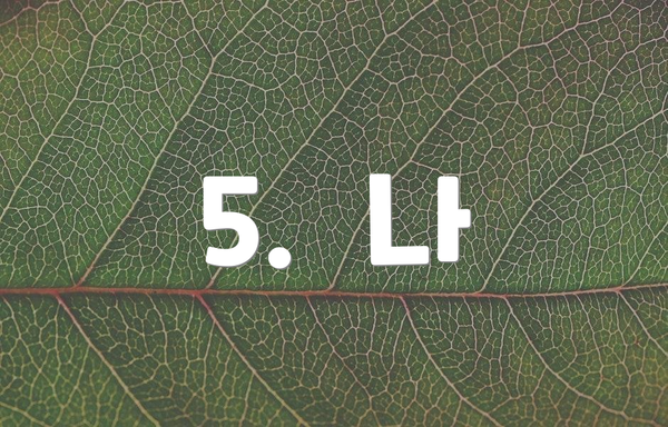 5.  나