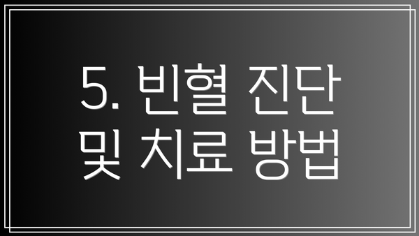 5. 빈혈 진단 및 치료 방법