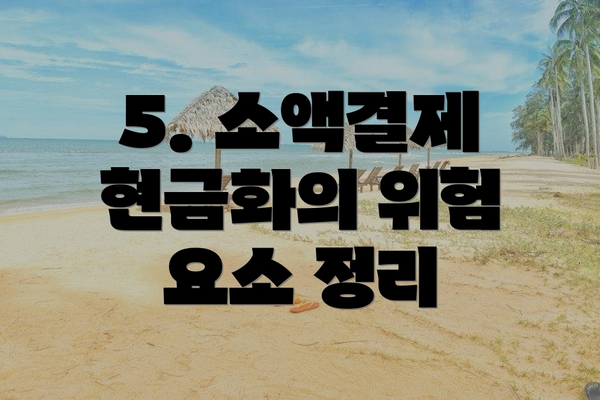 5. 소액결제 현금화의 위험 요소 정리