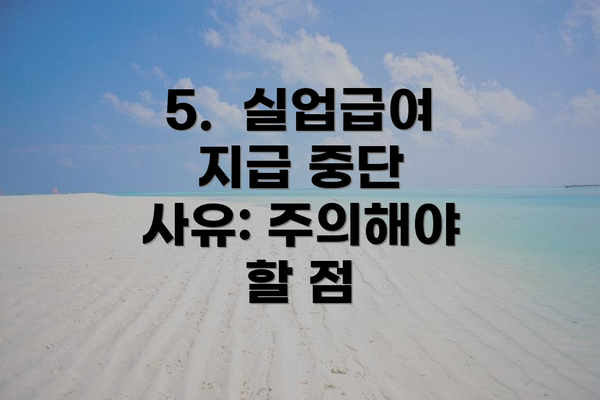 5.  실업급여 지급 중단 사유: 주의해야 할 점