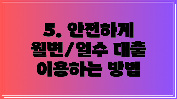 5. 안전하게 월변/일수 대출 이용하는 방법