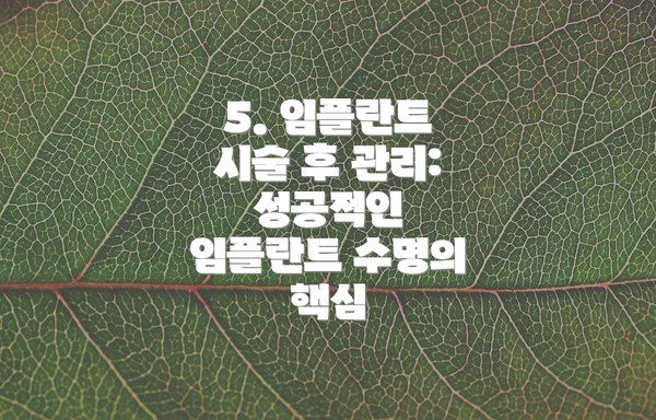 5. 임플란트 시술 후 관리: 성공적인 임플란트 수명의 핵심