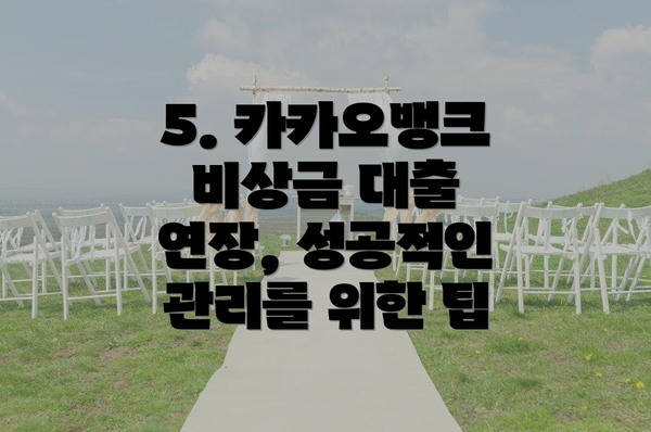 5. 카카오뱅크 비상금 대출 연장, 성공적인 관리를 위한 팁