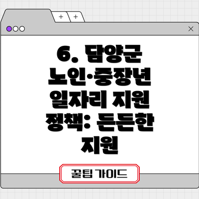6. 담양군 노인·중장년 일자리 지원 정책: 든든한 지원