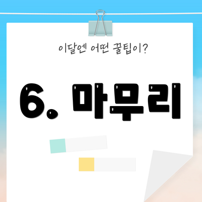 6. 마무리