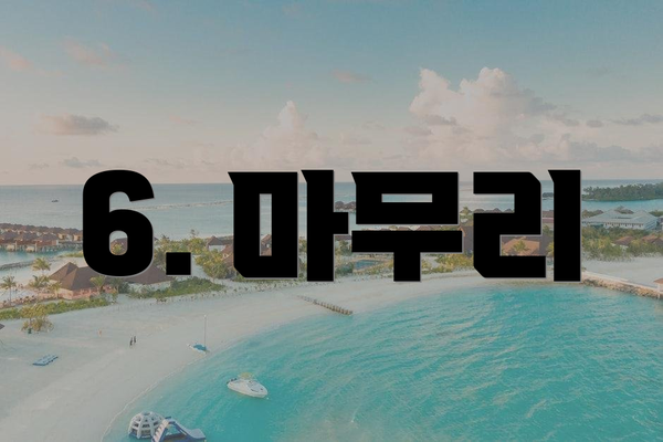 6. 마무리